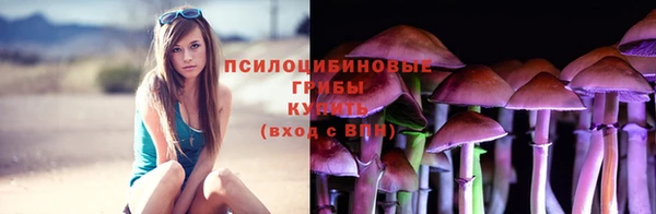 кокс Алзамай