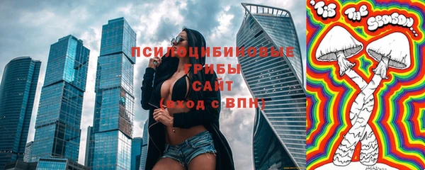 стафф Касимов
