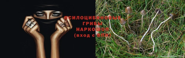 круглые Алексеевка