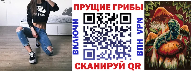 Псилоцибиновые грибы Psilocybine cubensis  Пласт 